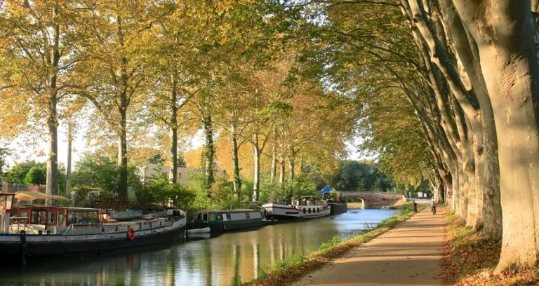 Canaldumidi Tolosa Alberi Autunno 1