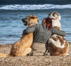 Turismo Pet Friendly: le Migliori Spiagge per cani sulle Coste Italiane
