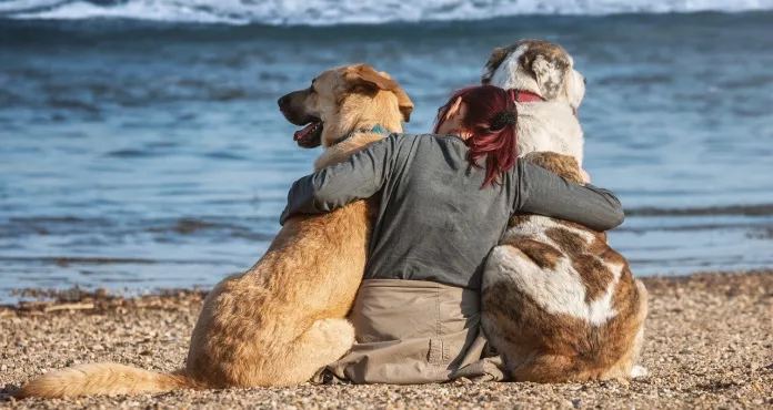Cani Amici Trust Spiaggia Amicizia