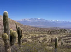 Quando andare e cosa vedere in Argentina: città, attrazioni, itinerari