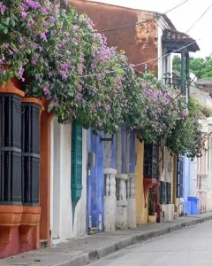 Cartagena de Indias