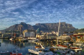 Parco Nazionale della Table Mountain, Sudafrica: dove si trova, quando andare e cosa vedere