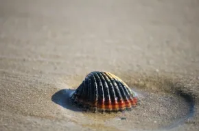 Le 10 spiagge più belle d'Abruzzo