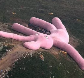 Il coniglio rosa gigante di Colletto Fava in Piemonte