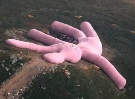 Il coniglio rosa gigante di Colletto Fava in Piemonte