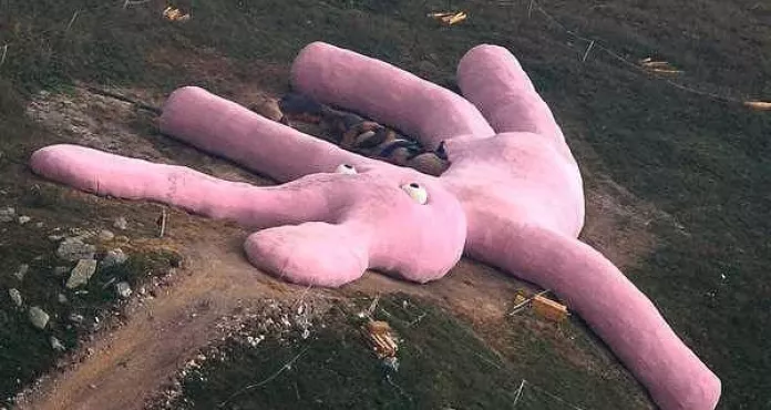 coniglio rosa gigante artesina