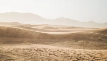 Deserto del Negev