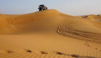 Safari nel Deserto