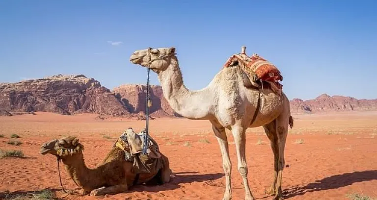 deserto wadi rum