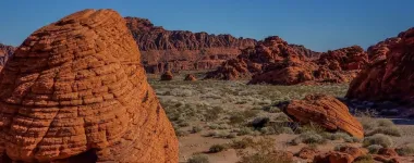Nevada