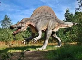 I parchi e musei di dinosauri più grandi del mondo