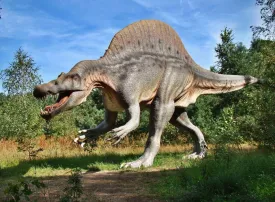 I parchi e musei di dinosauri pi grandi del mondo