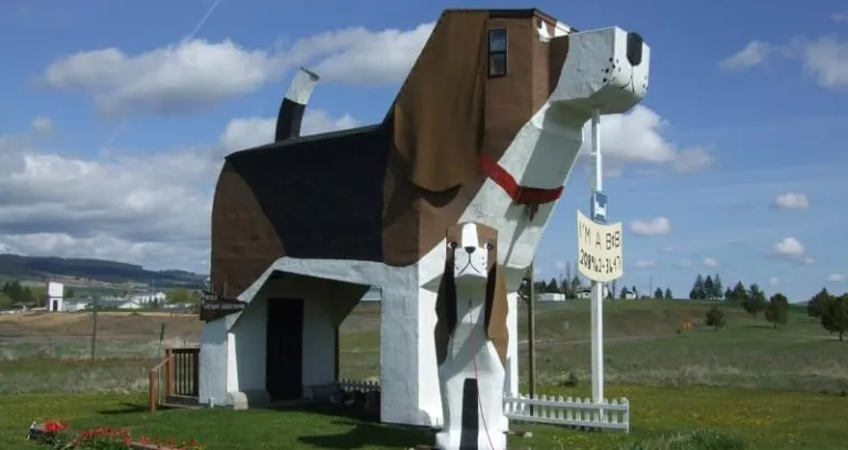 Dog bark park inn