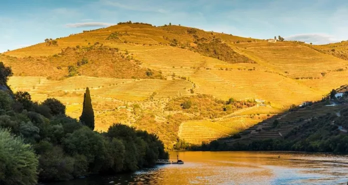 Douro River Portogallo Viaggio