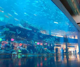 Dubai Aquarium