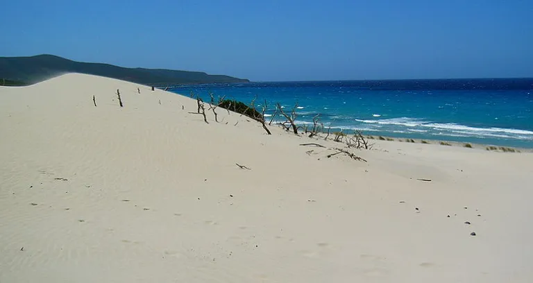 Dune Di Porto Pino