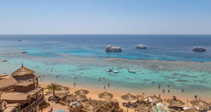 Egitto Barriera Corallina Coral
