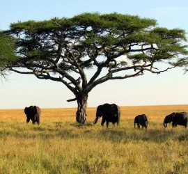 I 10 Parchi Naturali più belli del Mondo