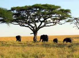 I 10 Parchi Naturali più belli del Mondo