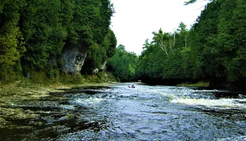 Elora
