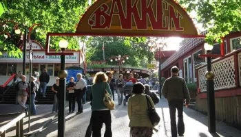 Bakken