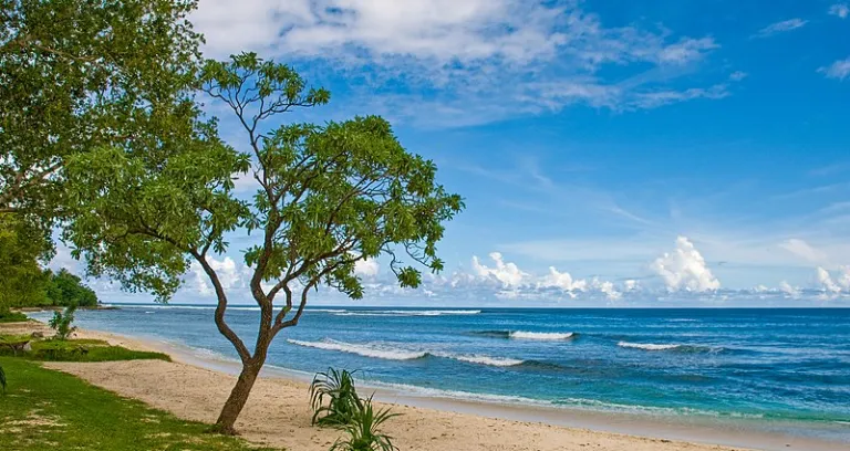 Eratap Efate Vanuatu 13 April 2008