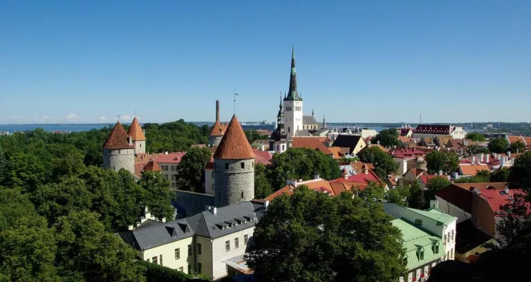 Estonia Tallinn Tetti Architettura
