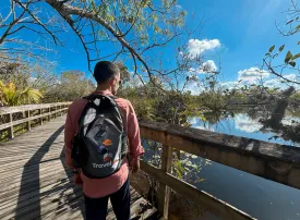 Florida: cosa vedere, quando andare e itinerari consigliati