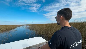 Everglades