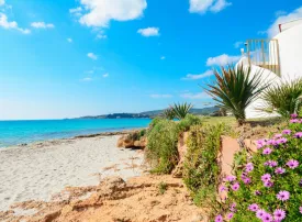 Cosa vedere ad Alghero: le 15 migliori attrazioni e cose da fare