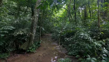 Parco Nazionale di Cuc Phuong