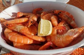 Cosa mangiare a Lampedusa e dove: 10 piatti tipici e ristoranti migliori