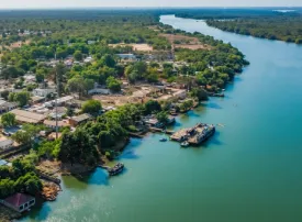 Safari in Gambia: prezzi, quando andare e dove
