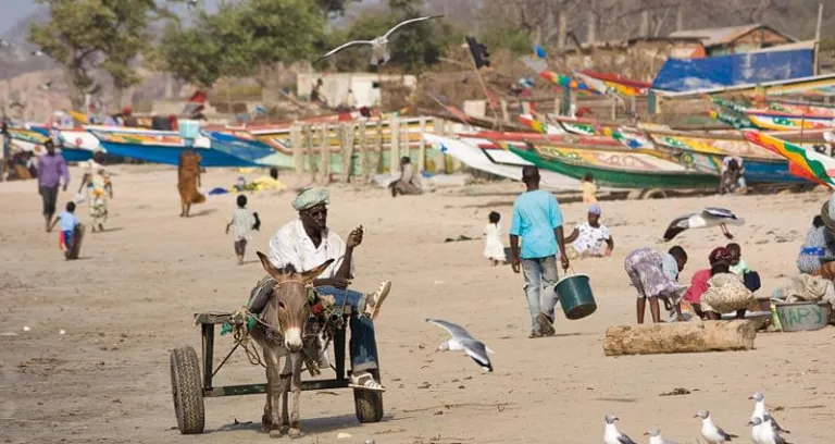 Gambia Beach