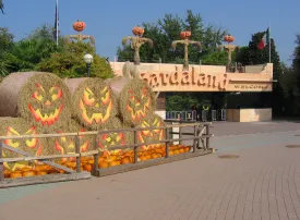 Dove andare ad Halloween con bambini: idee weekend, eventi e parchi a tema