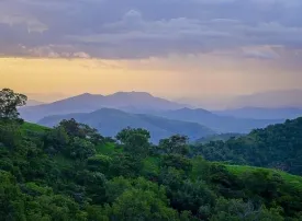 Safari in Nigeria: prezzi, quando andare e dove