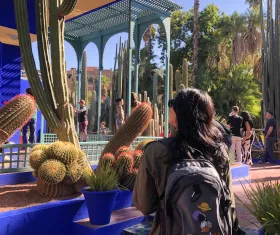 Jardin Majorelle