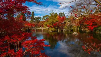 Dove dormire a Kyoto: consigli e quartieri migliori dove alloggiare