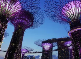 Dove dormire a Singapore: consigli e quartieri migliori dove alloggiare