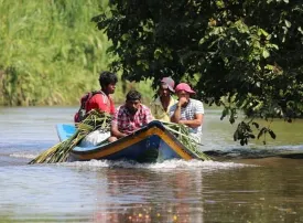 Guyana francese: dove si trova, quando andare e cosa vedere