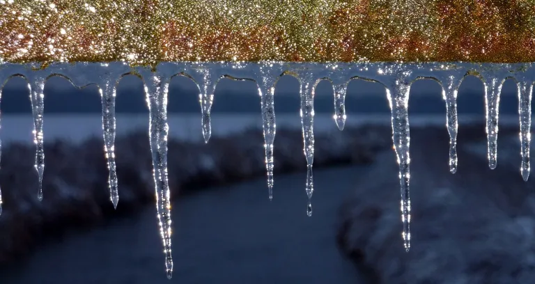 Inverno Ghiaccio Gel Freddo