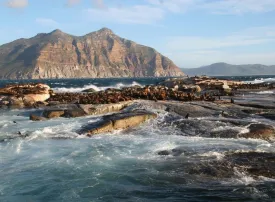 Cosa sapere per un Viaggio in Sudafrica
