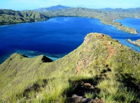 Isola di Komodo: dove si trova, quando andare e cosa vedere