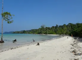 Isole Andamane: come arrivare, quando andare e cosa vedere