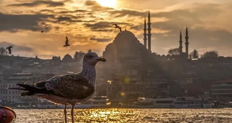 istanbul 1