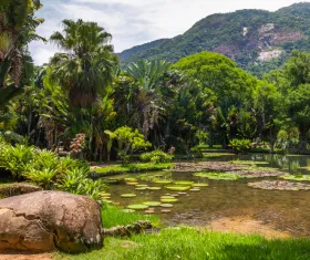 Jardim Botanico