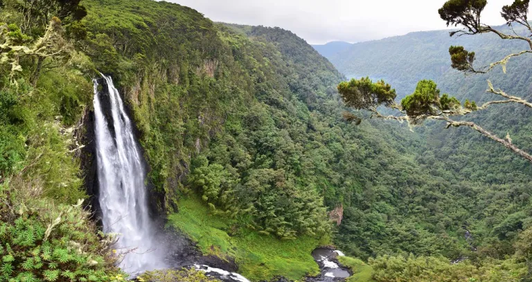 Karuru Falls Parco Nazionale Aberdare