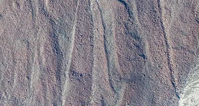 Lineas De Nazca Nazca Peru 2015 07 29 Dd 46