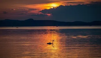 Lago Balaton