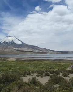 Parco Nazionale Lauca